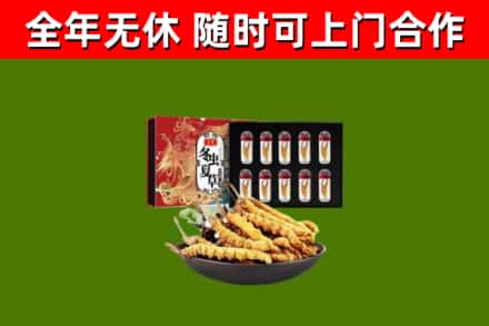 资兴烟酒回收冬虫夏草礼盒.jpg