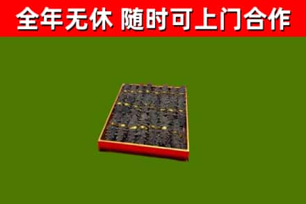 资兴回收海参